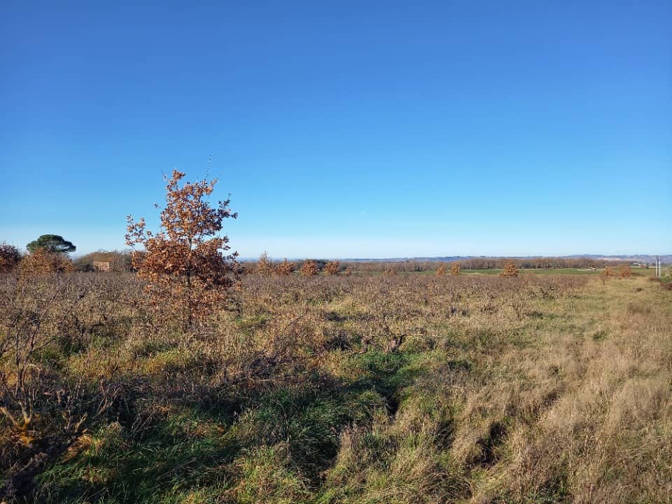 Terrain - Terrain à bâtir Técou (81600) à Técou (81), prix 84 000 €