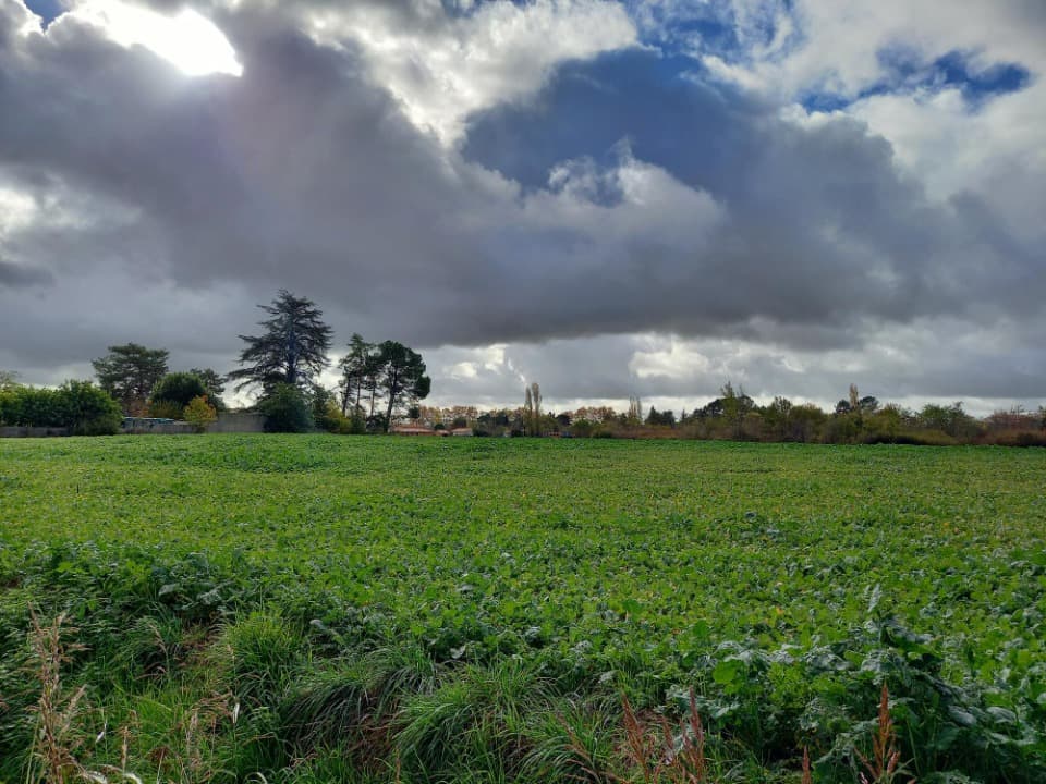 Terrain - Terrain à bâtir Gaillac (81600) à Gaillac (81), prix 63 000 €