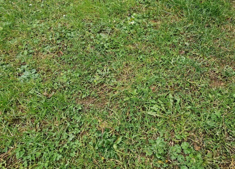 Maison neuve - Terrain à bâtir Osmoy-Saint-Valery (76660) à Osmoy-Saint-Valery (76), prix 149 750 €