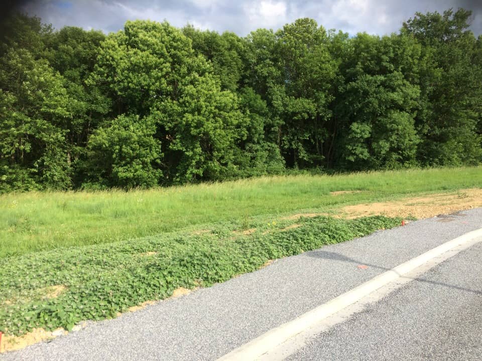 Terrain - Terrain à bâtir Mazamet (81200) à Mazamet (81), prix 51 500 €