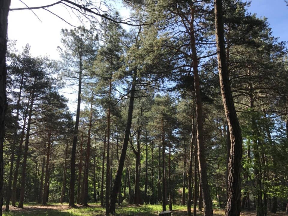 Terrain - Terrain à bâtir Payrin-Augmontel (81660) à Payrin-Augmontel (81), prix 59 900 €