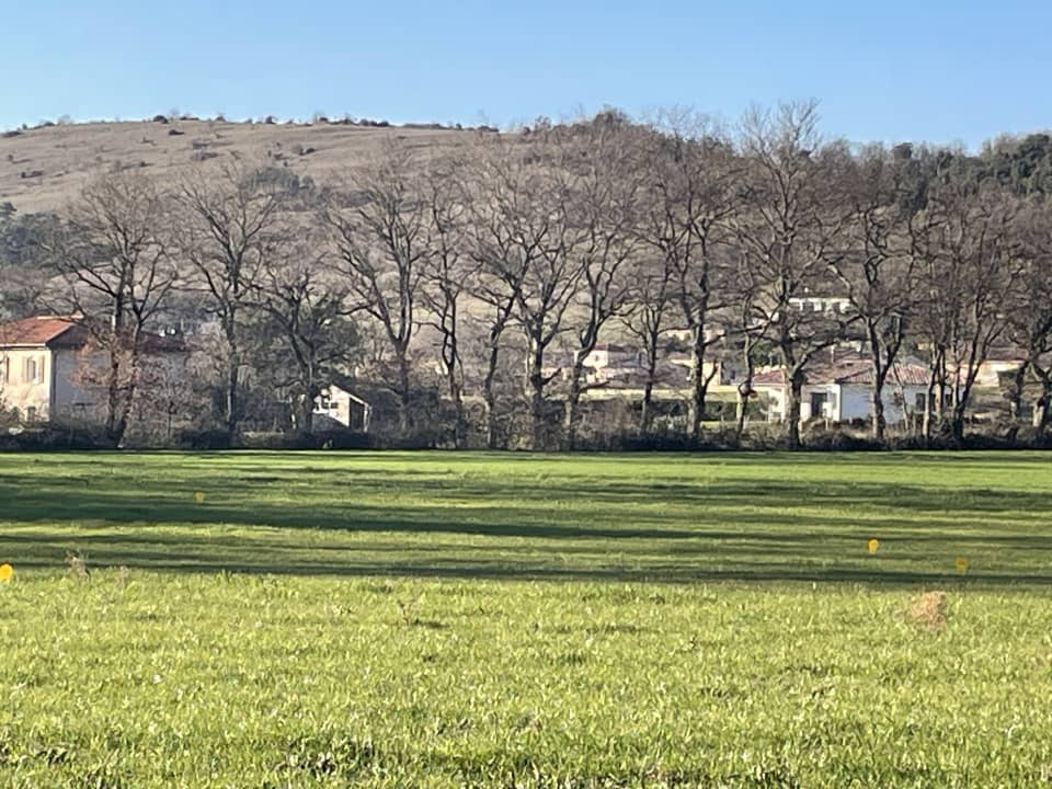 Terrain - Terrain à bâtir Payrin-Augmontel (81660) à Payrin-Augmontel (81), prix 52 560 €