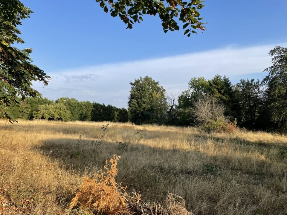 Terrain - Terrain à bâtir Mazamet (81200) à Mazamet (81), prix 68 000 €