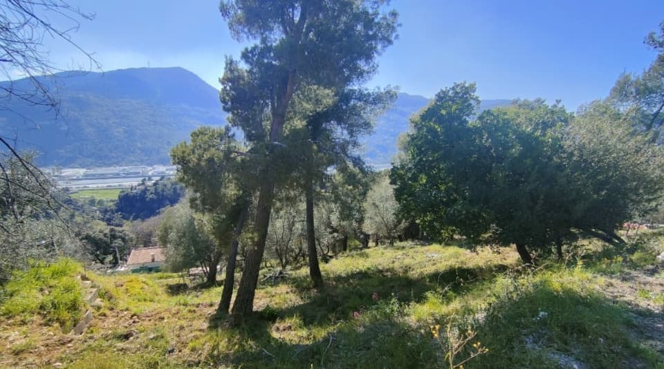 Terrain - Terrain à bâtir Saint-Martin-du-Var (06670) à Saint-Martin-du-Var (66), prix 199 000 €