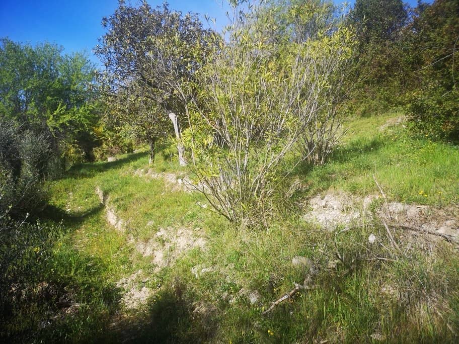 Terrain - Terrain à bâtir Saint-André-de-la-Roche (06730) à Saint-André-de-la-Roche (67), prix 270 000 €