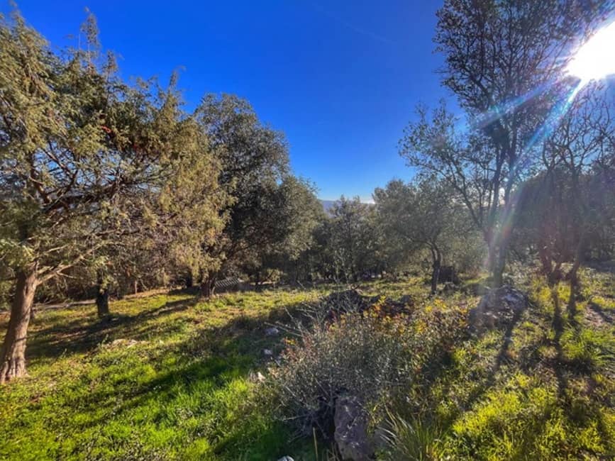 Terrain - Terrain à bâtir Carros (06510) à Carros (65), prix 248 000 €