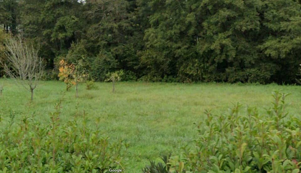 Terrain - Terrain à bâtir Lignan-de-Bazas (33430) à Lignan-de-Bazas, prix 65 000 €