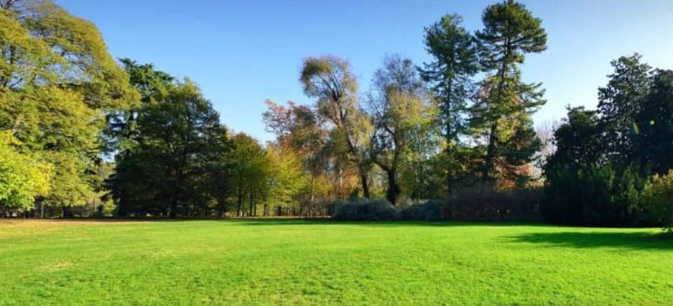 Terrain - Terrain à bâtir Le Bouscat (33110) à Le Bouscat (33), prix 550 000 €