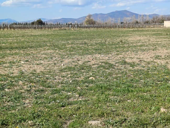 Terrain - Terrain à bâtir Cases-de-Pène (66600) à Cases-de-Pène (66), prix 125 000 €