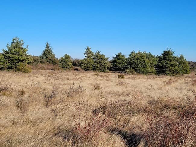 Terrain - Terrain à bâtir Cases-de-Pène (66600) à Cases-de-Pène (66), prix 82 000 €