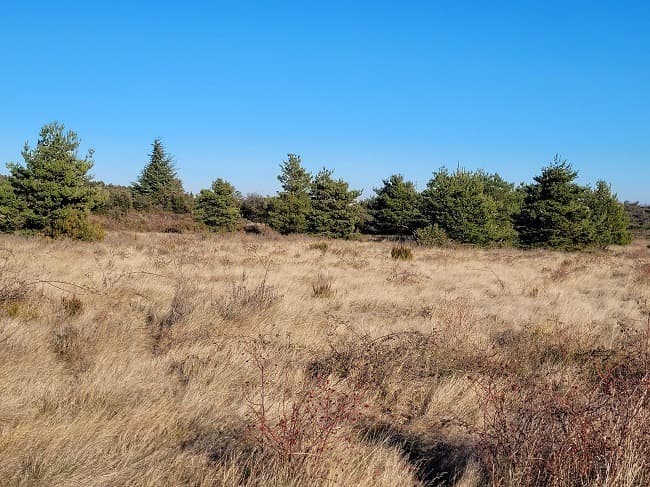 Terrain - Terrain à bâtir Cases-de-Pène (66600) à Cases-de-Pène (66), prix 82 000 €