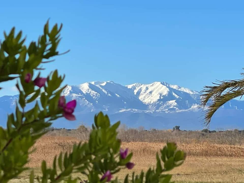 Terrain - Terrain à bâtir Vinça (66320) à Vinça, prix 89 900 €