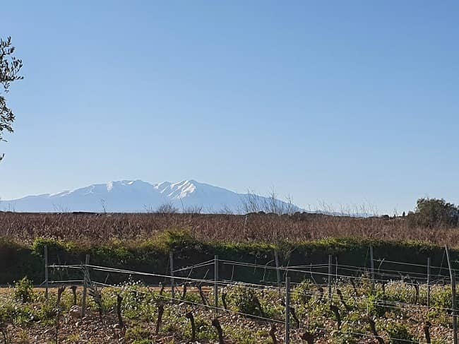 Terrain - Terrain à bâtir Vinça (66320) à Vinça (66), prix 78 900 €