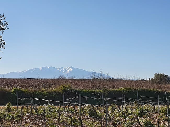 Terrain - Terrain à bâtir Vinça (66320) à Vinça (66), prix 78 900 €