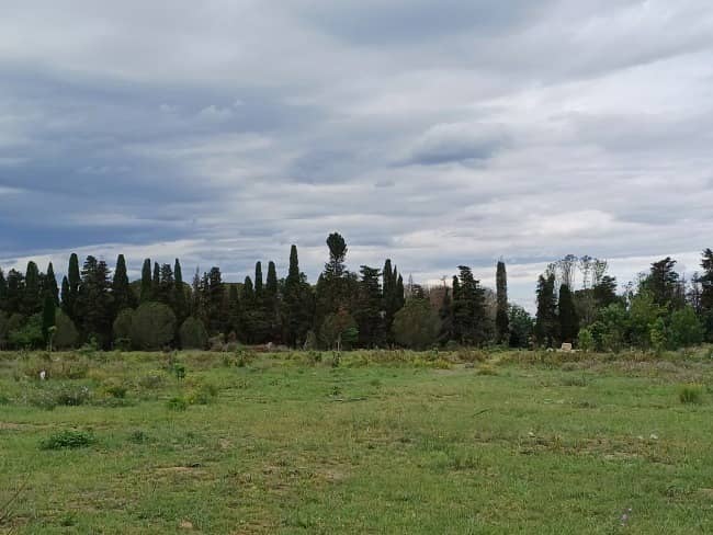 Terrain - Terrain à bâtir Palau-del-Vidre (66690) à Palau-del-Vidre (66), prix 155 000 €