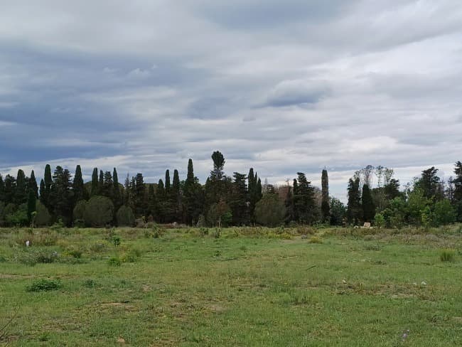 Terrain - Terrain à bâtir Palau-del-Vidre (66690) à Palau-del-Vidre (66), prix 155 000 €