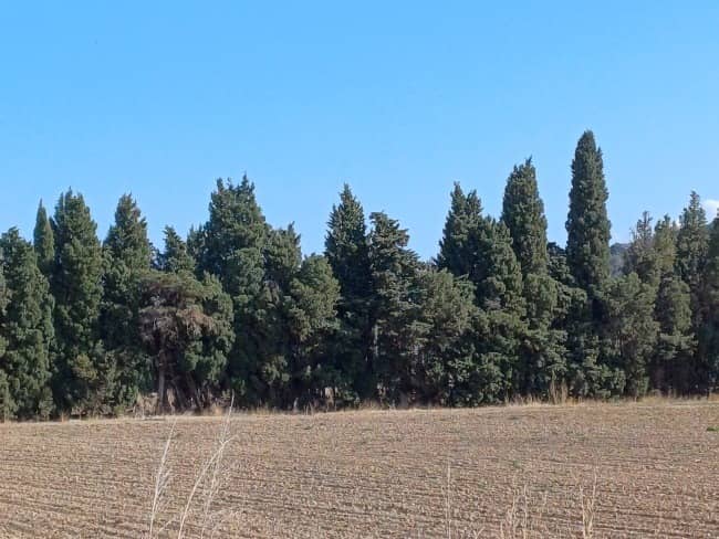 Terrain - Terrain à bâtir Ortaffa (66560) à Ortaffa (66), prix 149 000 €