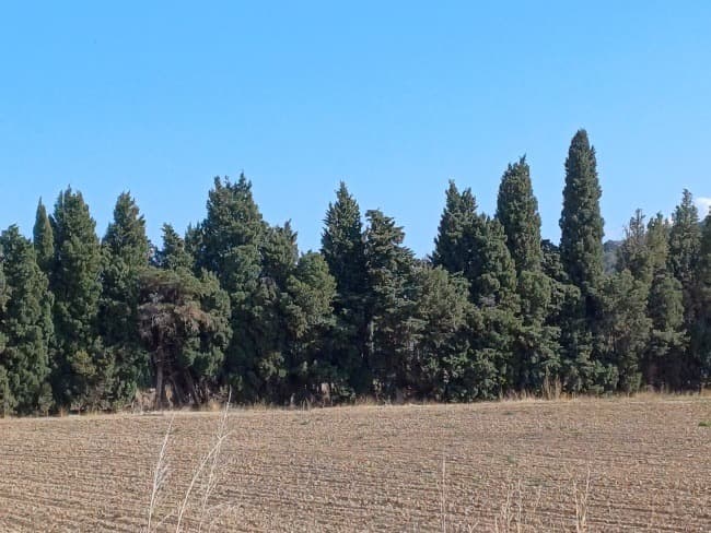 Terrain - Terrain à bâtir Ortaffa (66560) à Ortaffa (66), prix 149 000 €