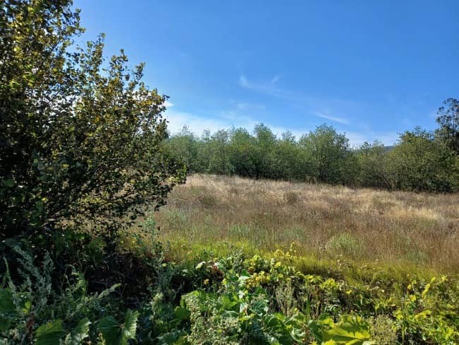 Terrain - Terrain à bâtir Ortaffa (66560) à Ortaffa (66), prix 169 000 €