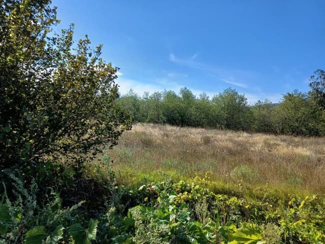 Terrain - Terrain à bâtir Ortaffa (66560) à Ortaffa (66), prix 169 000 €