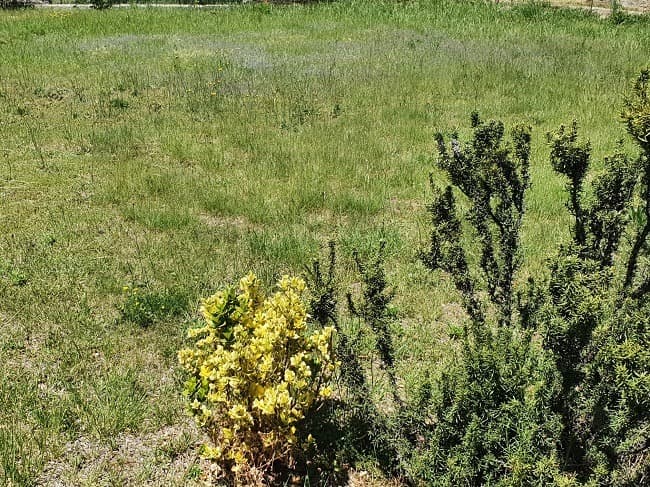 Terrain - Terrain à bâtir Saint-Cyprien (66750) à Saint-Cyprien (66), prix 380 000 €