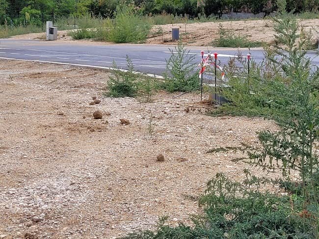 Terrain - Terrain à bâtir Cabestany (66330) à Cabestany (66), prix 157 000 €