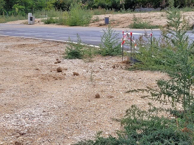 Terrain - Terrain à bâtir Cabestany (66330) à Cabestany (66), prix 157 000 €