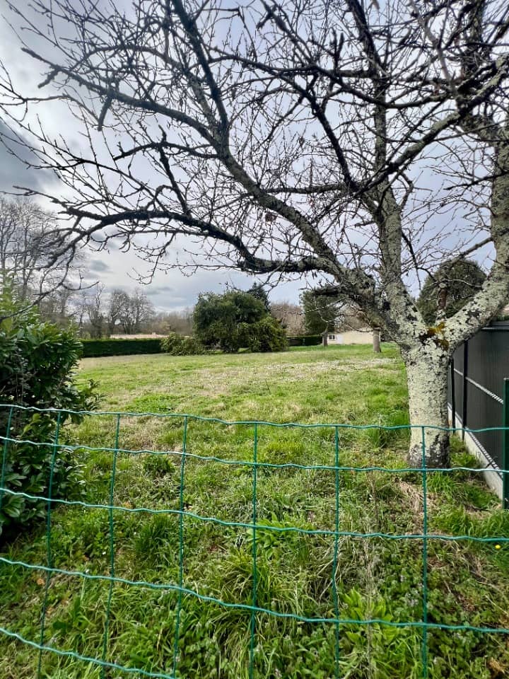 Terrain - Terrain à bâtir Tarnès (33240) à Tarnès (33), prix 95 000 €