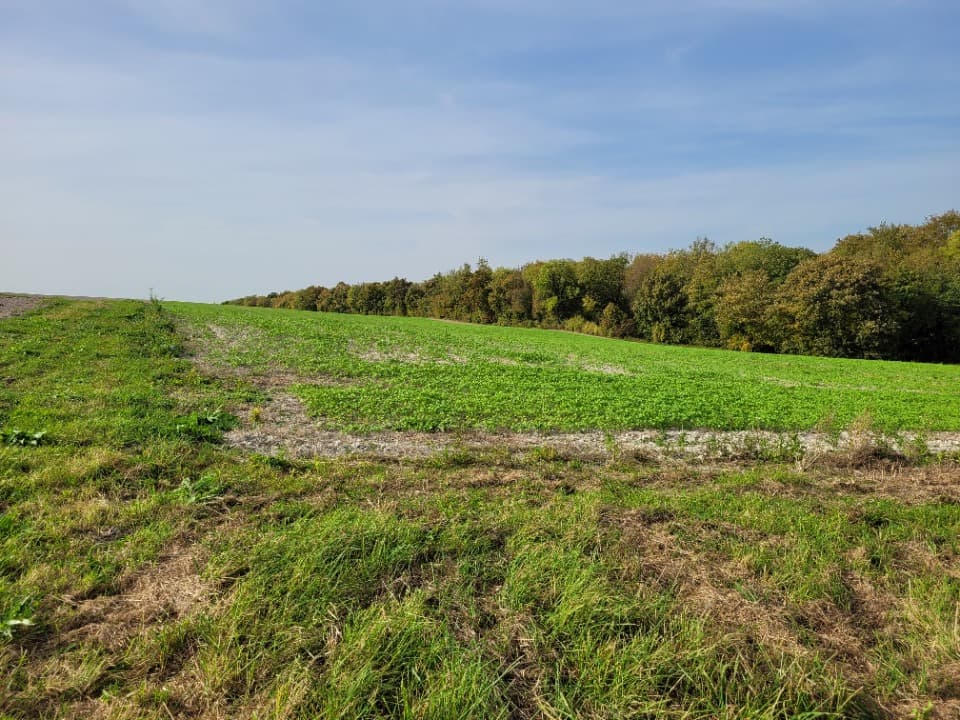 Terrain - Terrain à bâtir () à Saint-Euphraise-et-Clairizet (51), prix 62 600 €