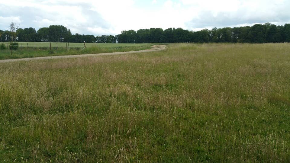 Terrain - Terrain à bâtir  () à Époye (51), prix 91 400 €