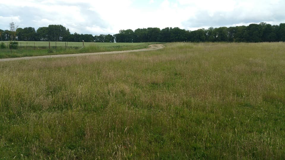 Terrain - Terrain à bâtir () à Époye (51), prix 91 400 €