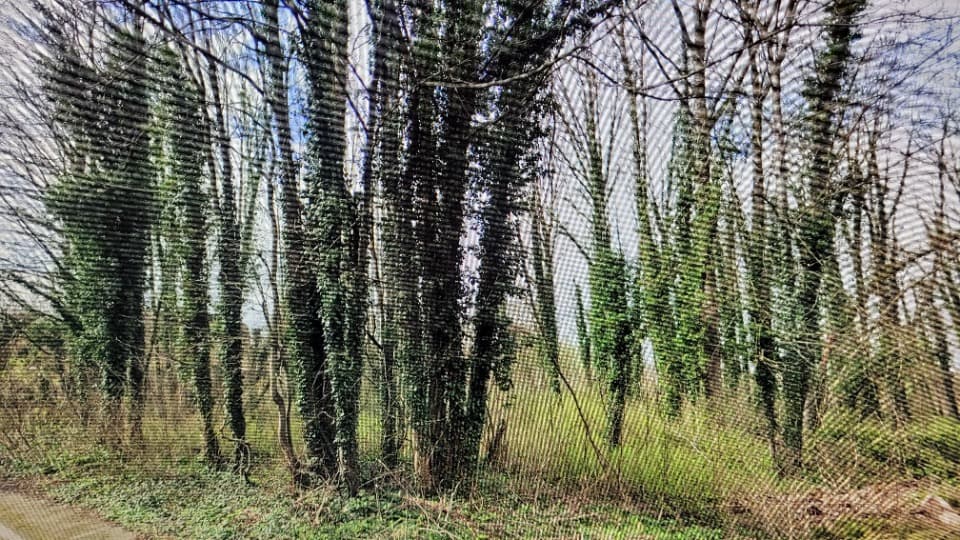 Terrain - Terrain à bâtir () à Bazancourt (51), prix 75 000 €