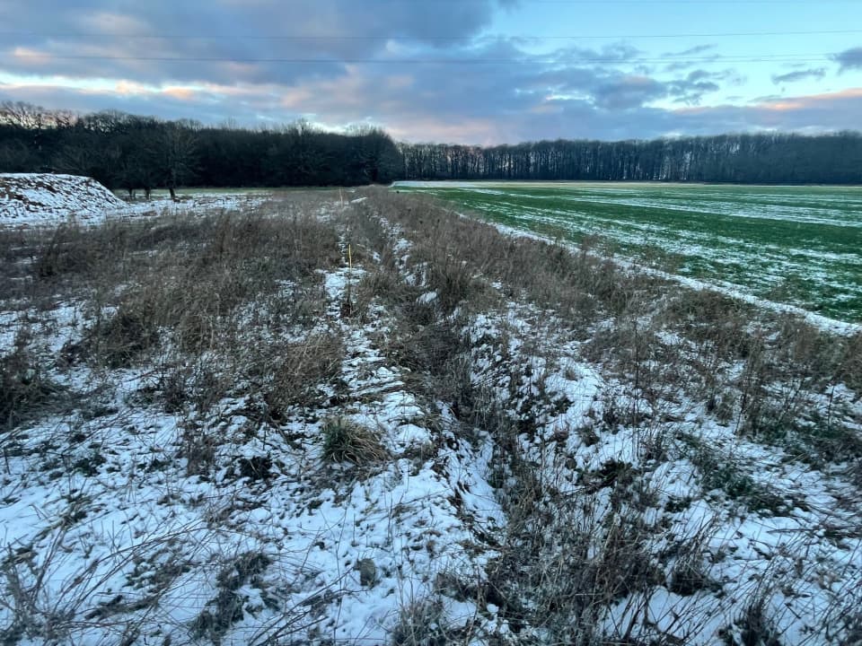 Terrain - Terrain à bâtir () à Metzeresche (57), prix 111 900 €
