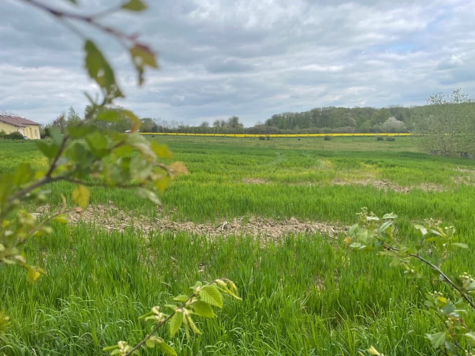 Terrain - Terrain à bâtir Hagen (57570) à Hagen (57), prix 190 000 €
