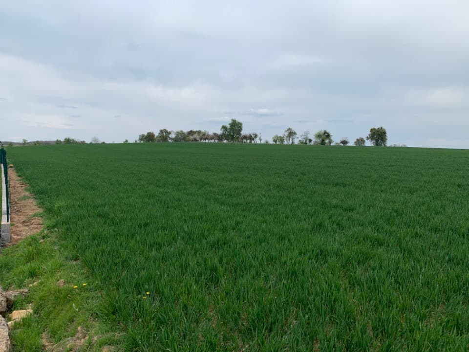 Terrain - Terrain à bâtir Waldwisse (57480) à Waldwisse (57), prix 75 000 €