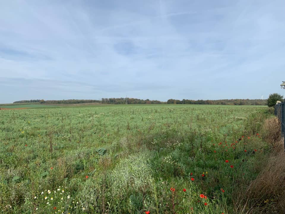 Terrain - Terrain à bâtir Ottange (57840) à Ottange (57), prix 246 000 €