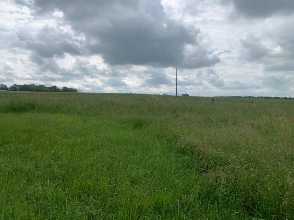 Terrain - Terrain à bâtir Distroff (57925) à Distroff, prix 86 000 €