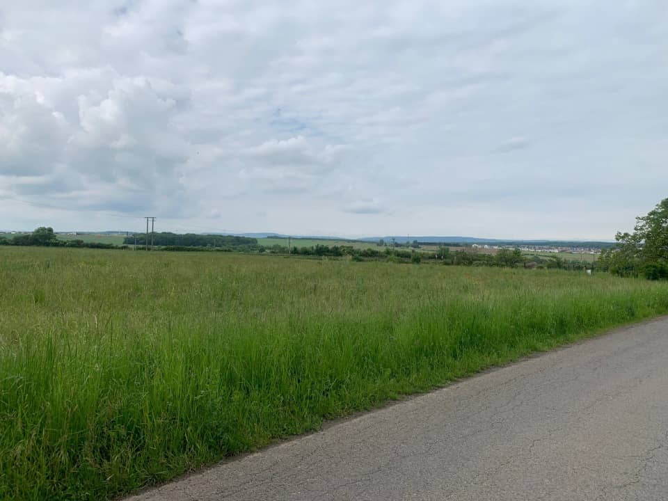 Terrain - Terrain à bâtir Distroff (57925) à Distroff, prix 129 000 €