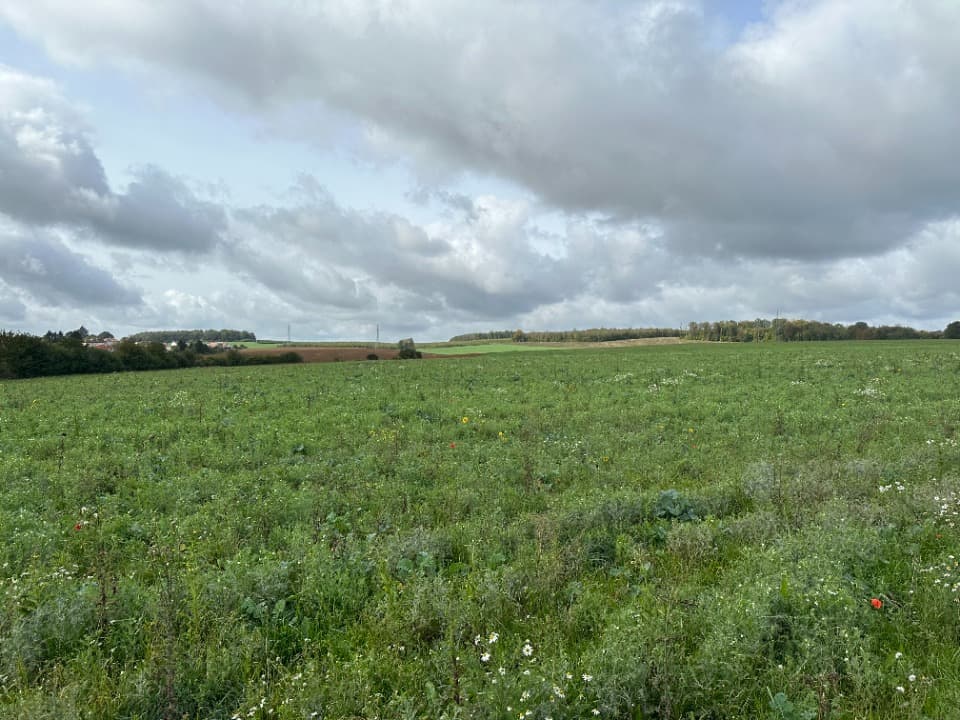 Terrain - Terrain à bâtir () à Luttange (57), prix 103 000 €
