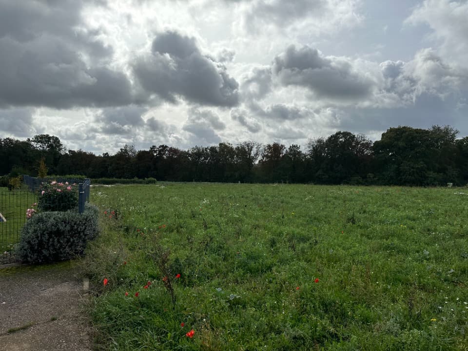Terrain - Terrain à bâtir () à Ottange (57), prix 76 000 €