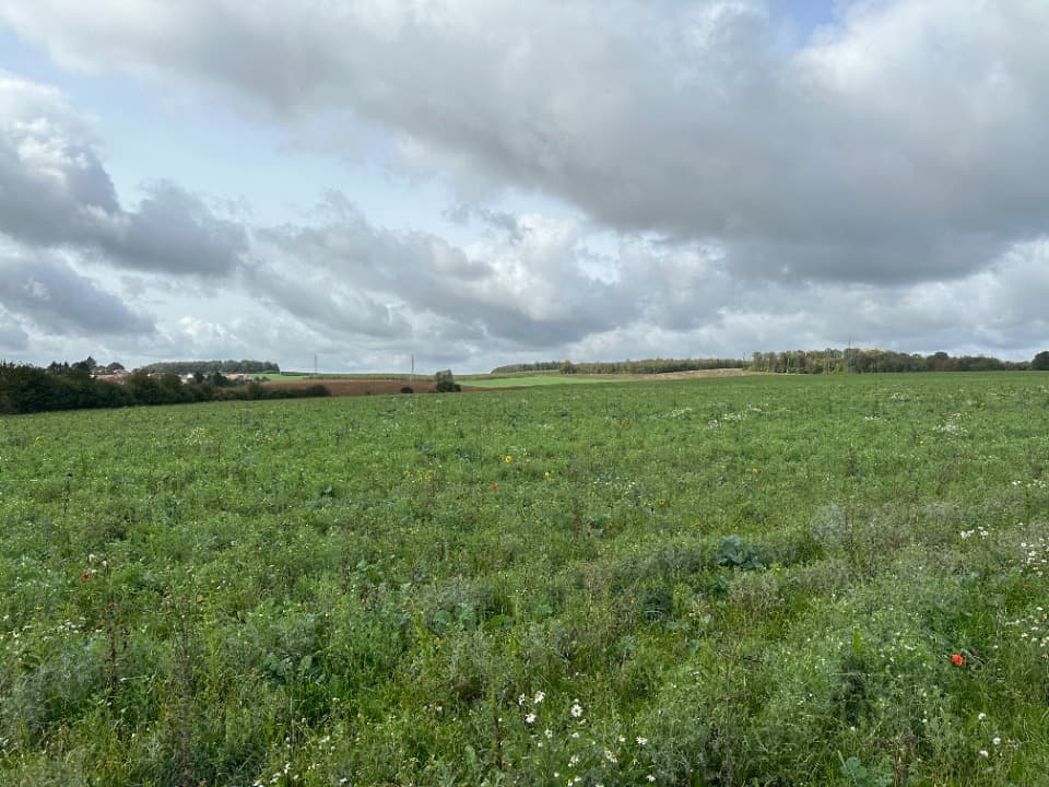 Terrain - Terrain à bâtir () à Russange (57), prix 176 000 €