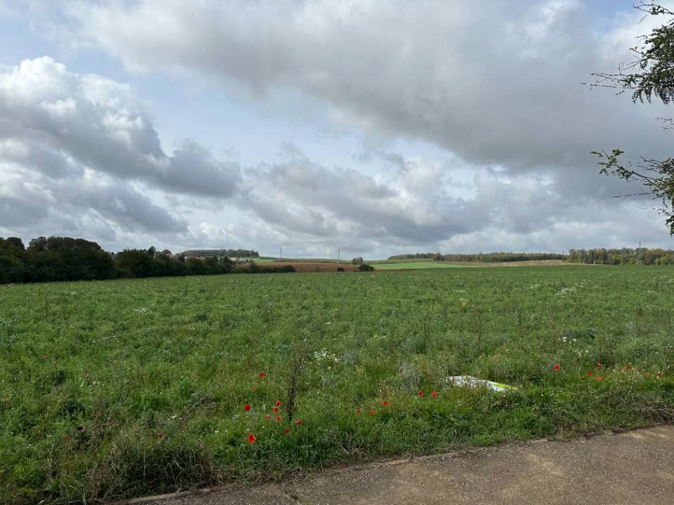 Terrain - Terrain à bâtir () à Villerupt, prix 60 000 €