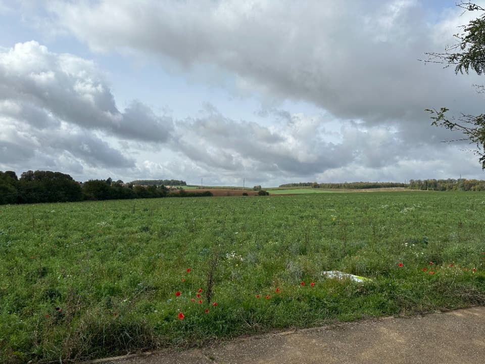 Terrain - Terrain à bâtir () à Villerupt (54), prix 60 000 €