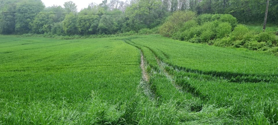 Terrain - Terrain à bâtir () à Merschweiller (57), prix 91 000 €