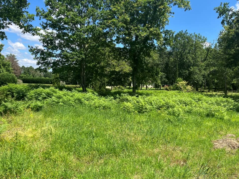 Terrain - Terrain à bâtir Gradignan (33170) à Gradignan (33), prix 299 000 €