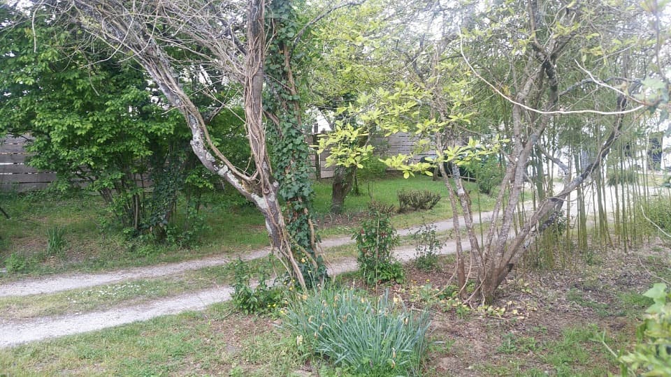 Terrain - Terrain à bâtir Saint-Médard-en-Jalles (33160) à Saint-Médard-en-Jalles (33), prix 205 000 €