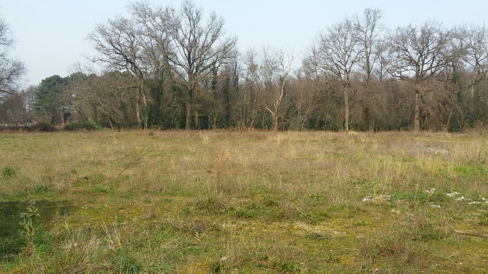 Terrain - Terrain à bâtir Blanquefort (33290) à Blanquefort (33), prix 235 000 €