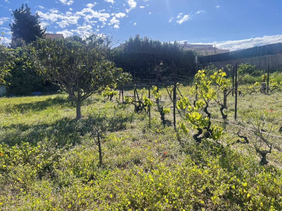 Terrain - Terrain à bâtir Port-de-Bouc (13110) à Port-de-Bouc (13), prix 199 000 €