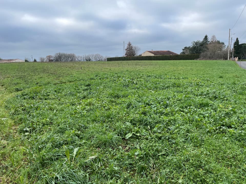 Terrain - Terrain à bâtir () à Castres (81), prix 79 000 €