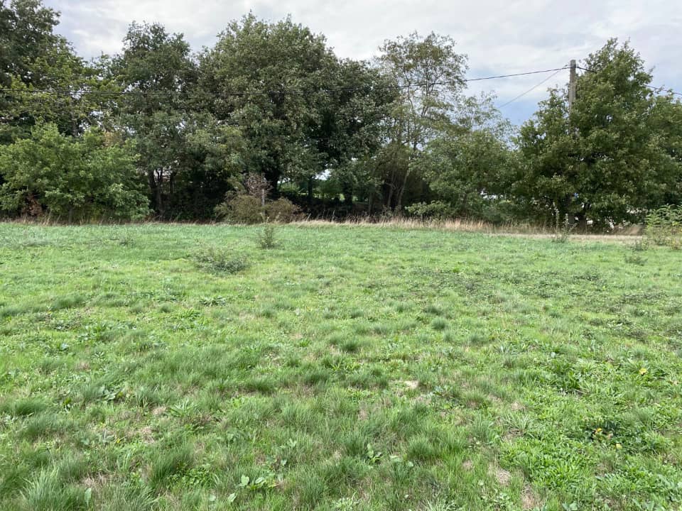 Terrain - Terrain à bâtir () à Labruguière (81), prix 53 680 €